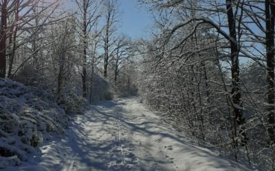 Spuren im Schnee