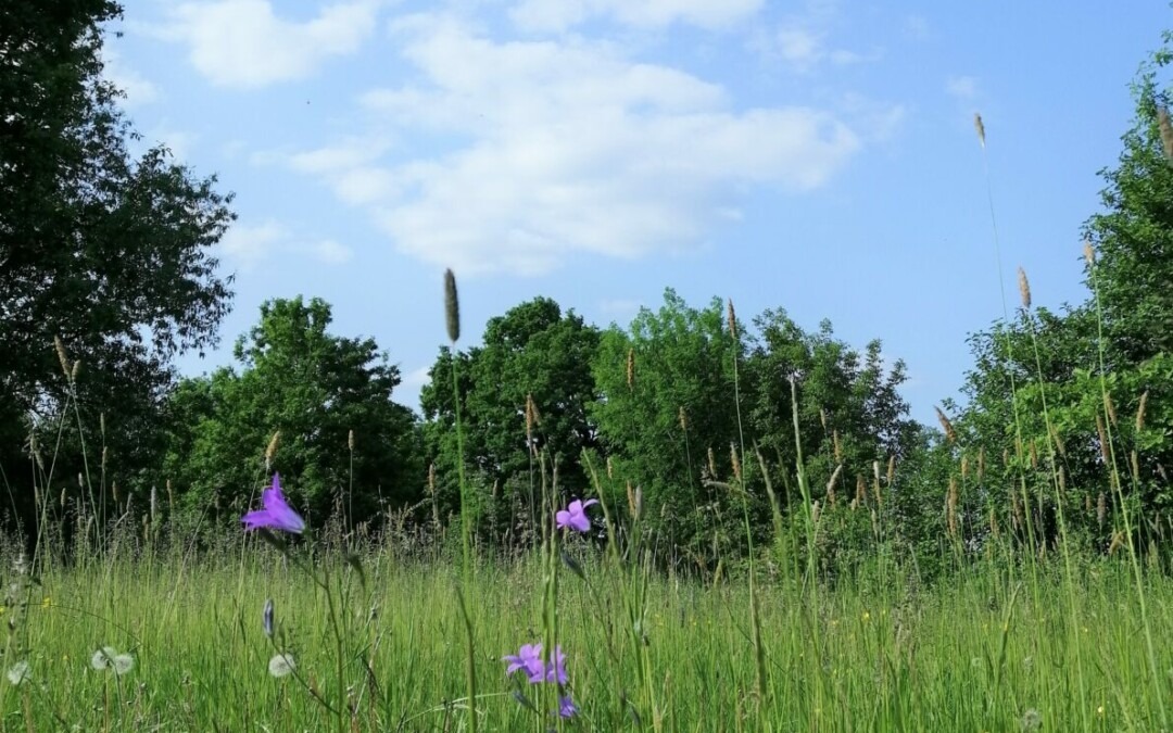 Wolkenträume